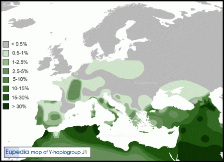 Haplogroup-J1
