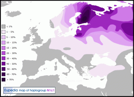 Haplogroup-N