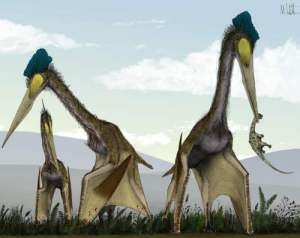 EKTE Pterosaur